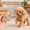 A small, light brown poodle puppy is standing next to a hand holding a fluffy, light brown squeaky toy.