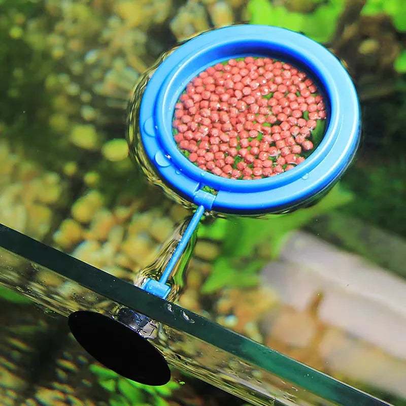 Anneau d'alimentation pour aquarium noir avec ventouse