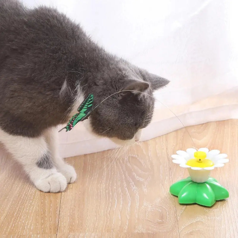 Jouet pour chat électrique rotatif en forme de papillon