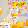 Conjunto de Bufanda y Sombrero para Fiesta de Cumpleaños de Mascota
