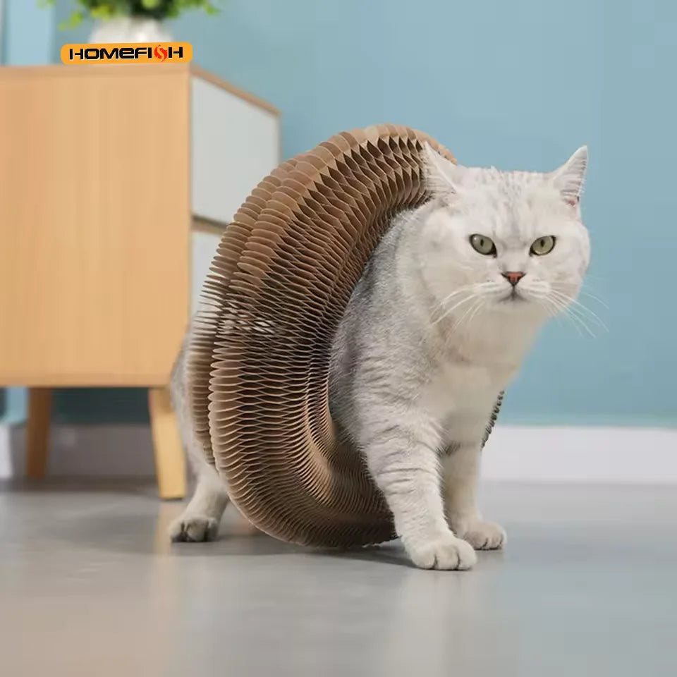 Eine hellgraue Katze sitzt auf einem Holzfußboden und zeigt ihre strukturierte Kratzboden-Nische.