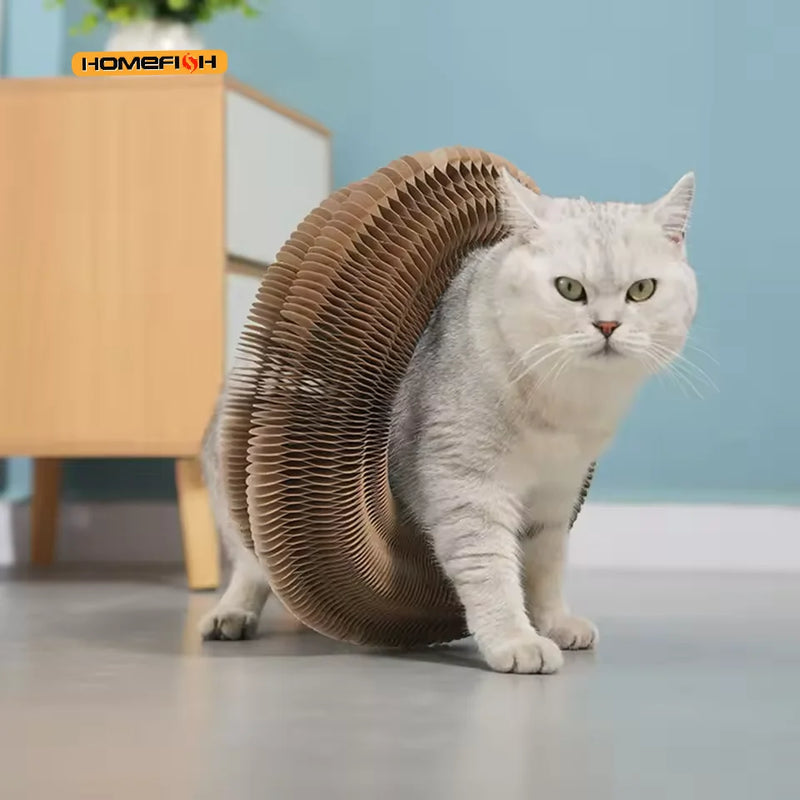 Niche Gratte-Corail pour Chat