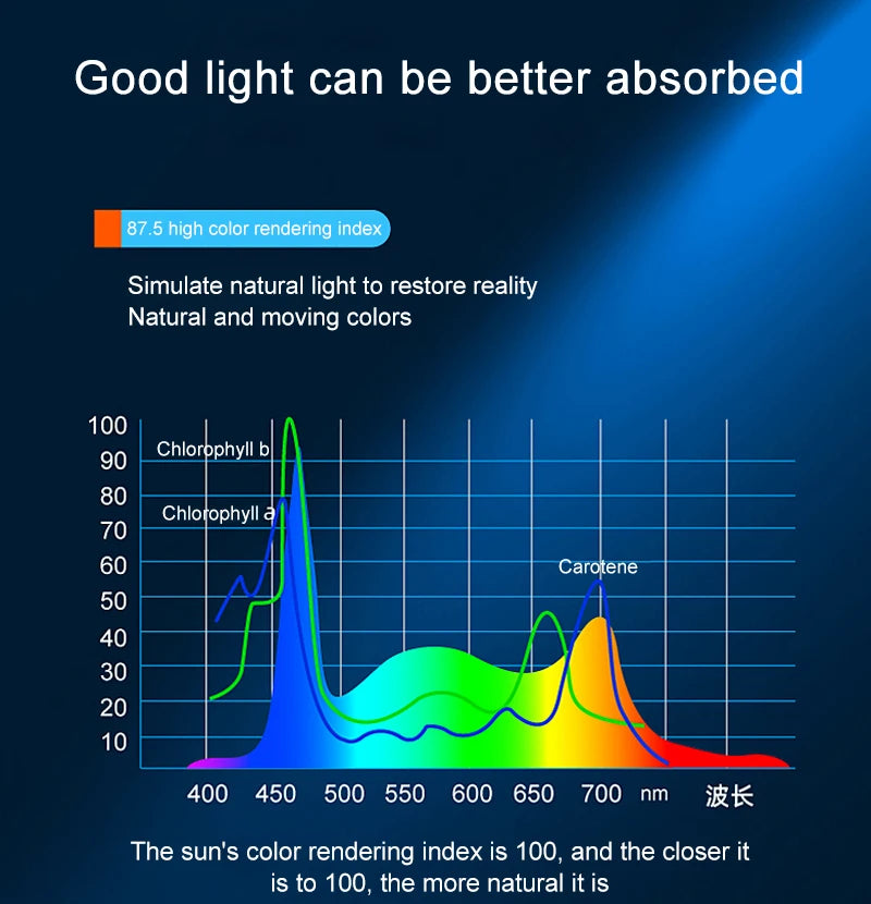 Lampe LED à pince réglable pour aquarium