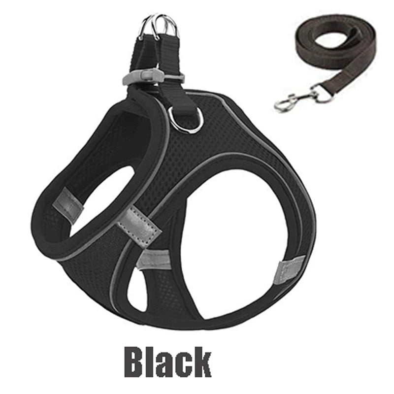 Black reflective no-pull dog harness and matching leash