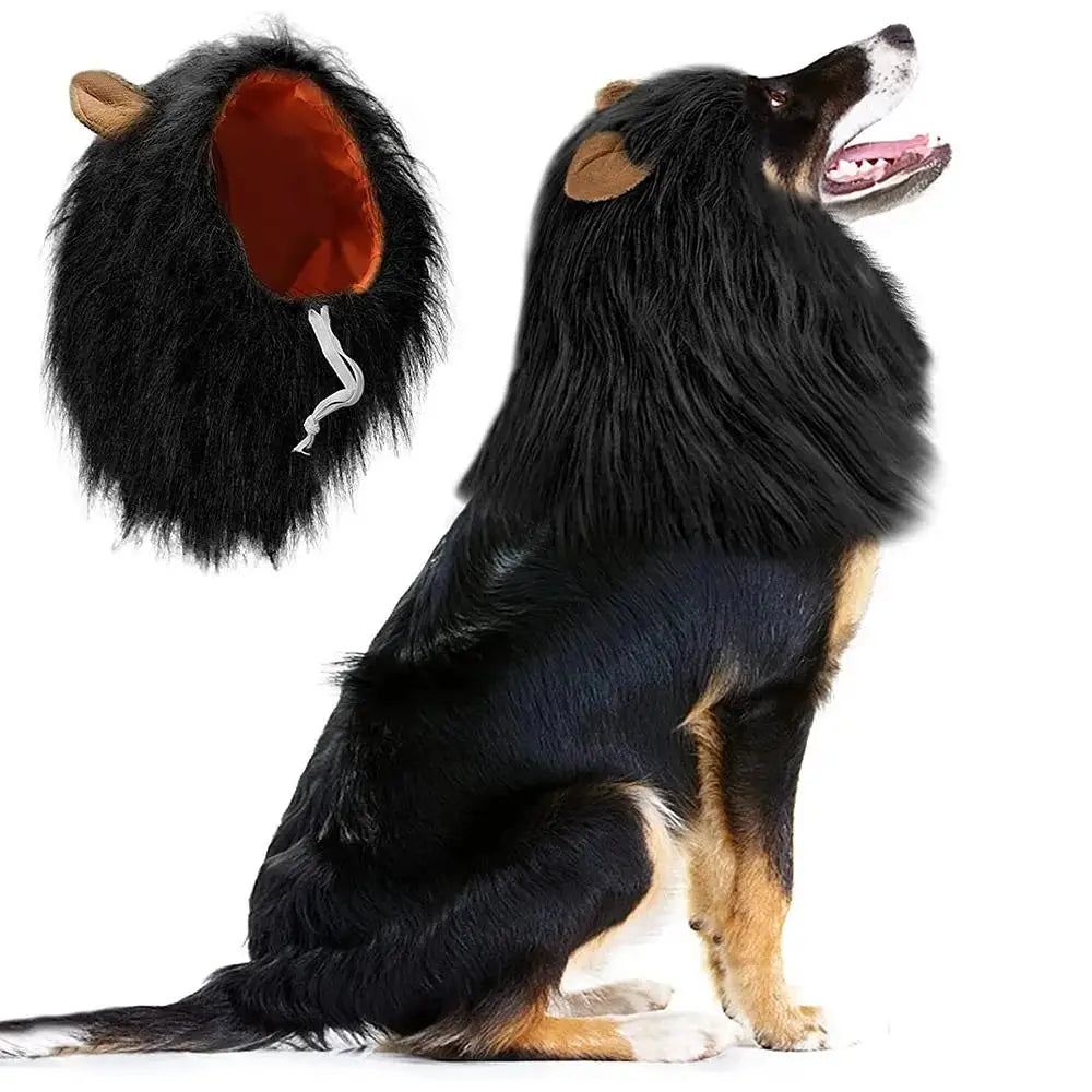 A black and tan dog wearing a realistic lion mane costume with a large orange ear patch.