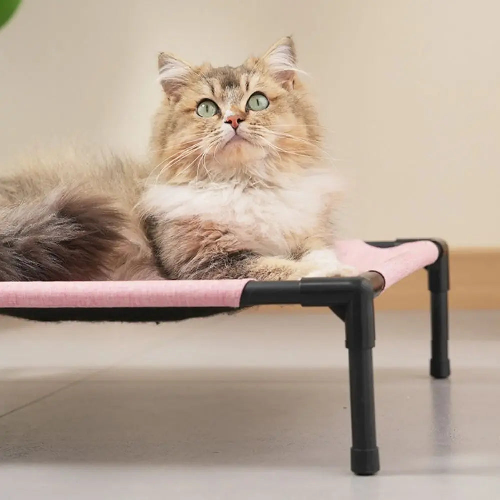 Elevated Pet Bed with Detachable Frame and Breathable Mesh