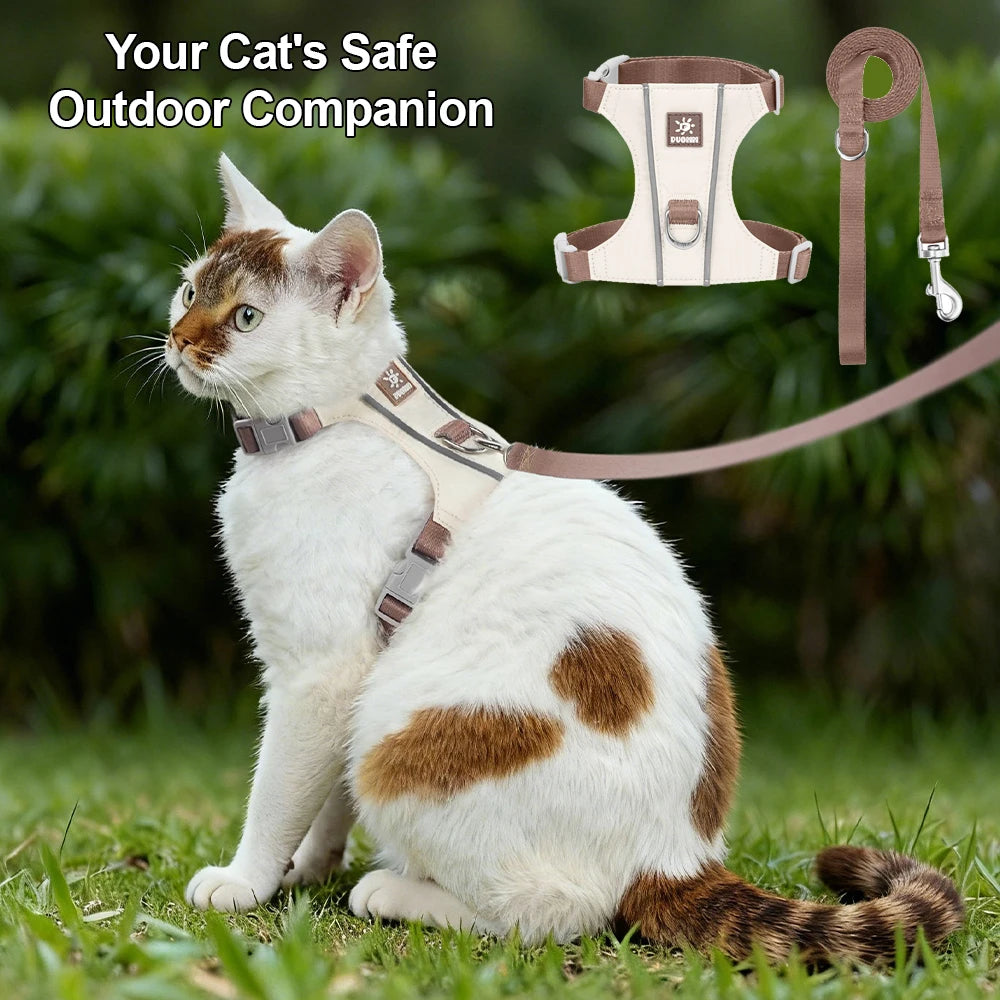 A white and brown cat wearing a beige harness and leash set outdoors.