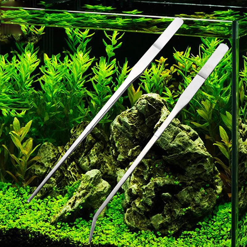 Pince à planter pour aquarium en acier inoxydable