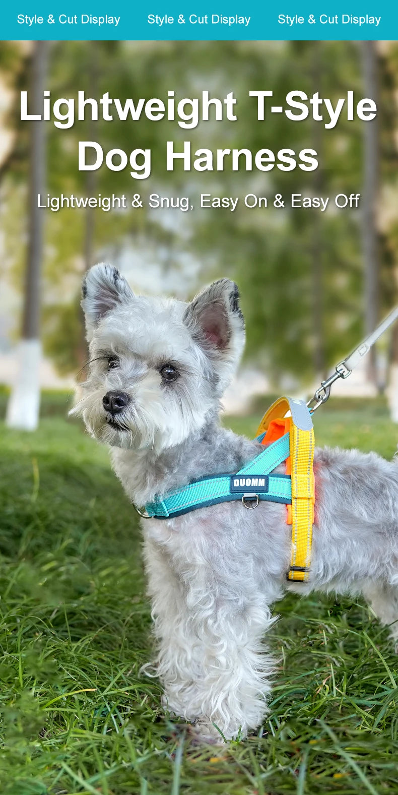 A small, fluffy gray dog wearing a lightweight T-style dog harness with bright yellow and blue accents outdoors.