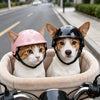 Zwei Katzen tragen verstellbare Hundeschutzhelme und sitzen in einer hellen Schale auf einem Fahrrad.