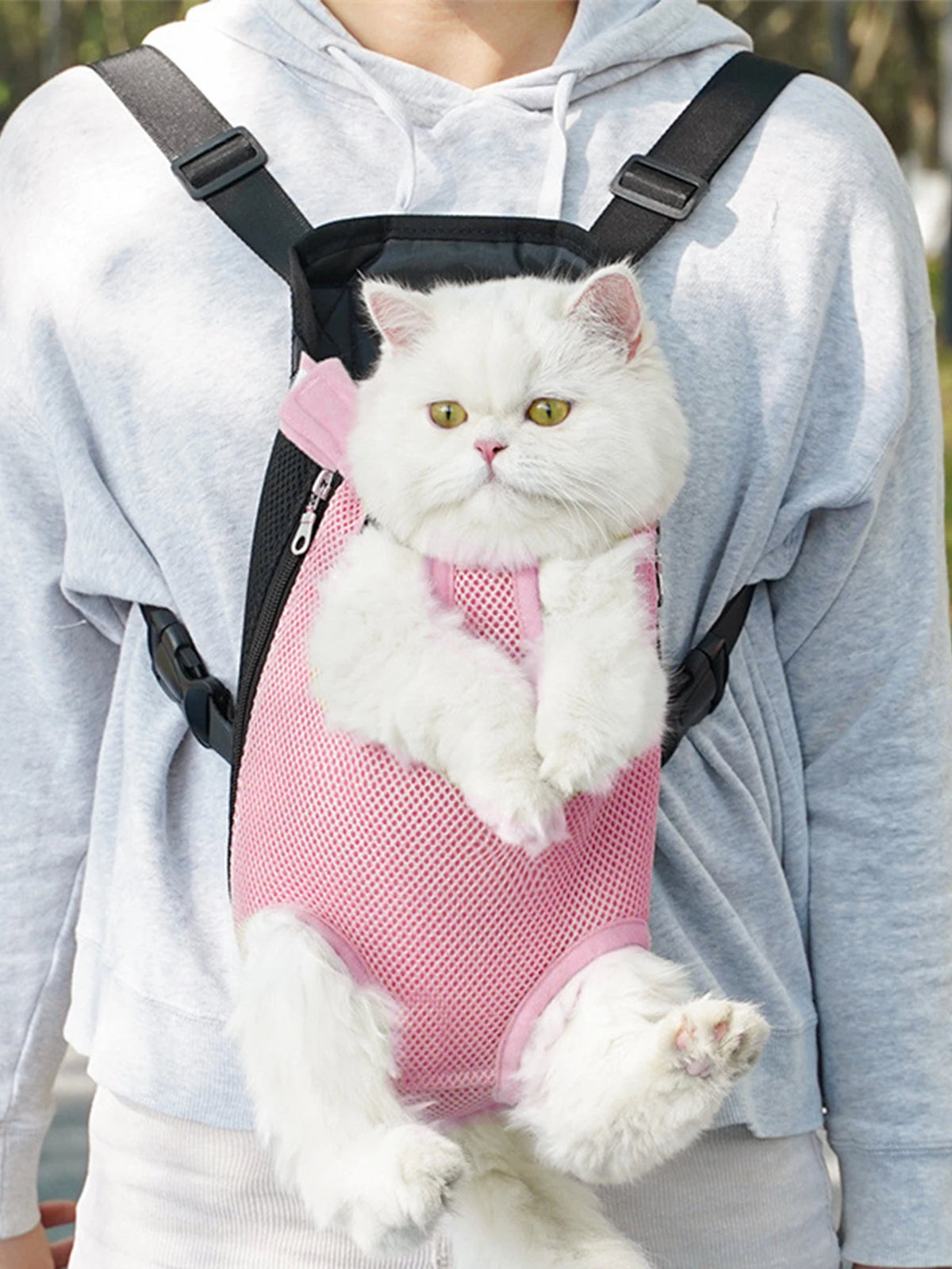 A white cat wearing a pink breathable carrier backpack is being held by a person in a light gray hoodie.