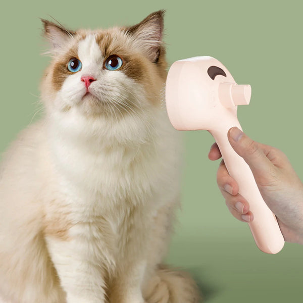 Brosse de toilettage à vapeur pour chiens