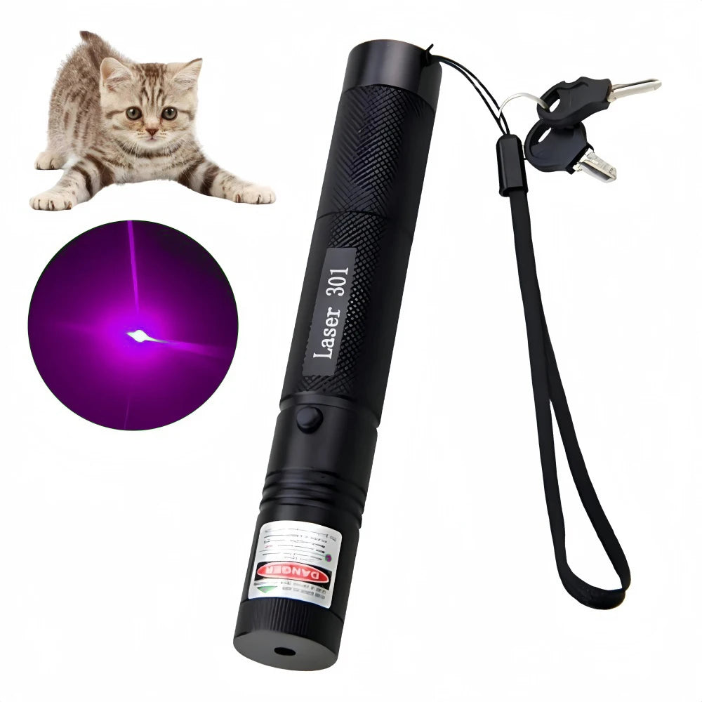 A black laser pointer pen with an adjustable focus, a cable, and a small device for teaching.