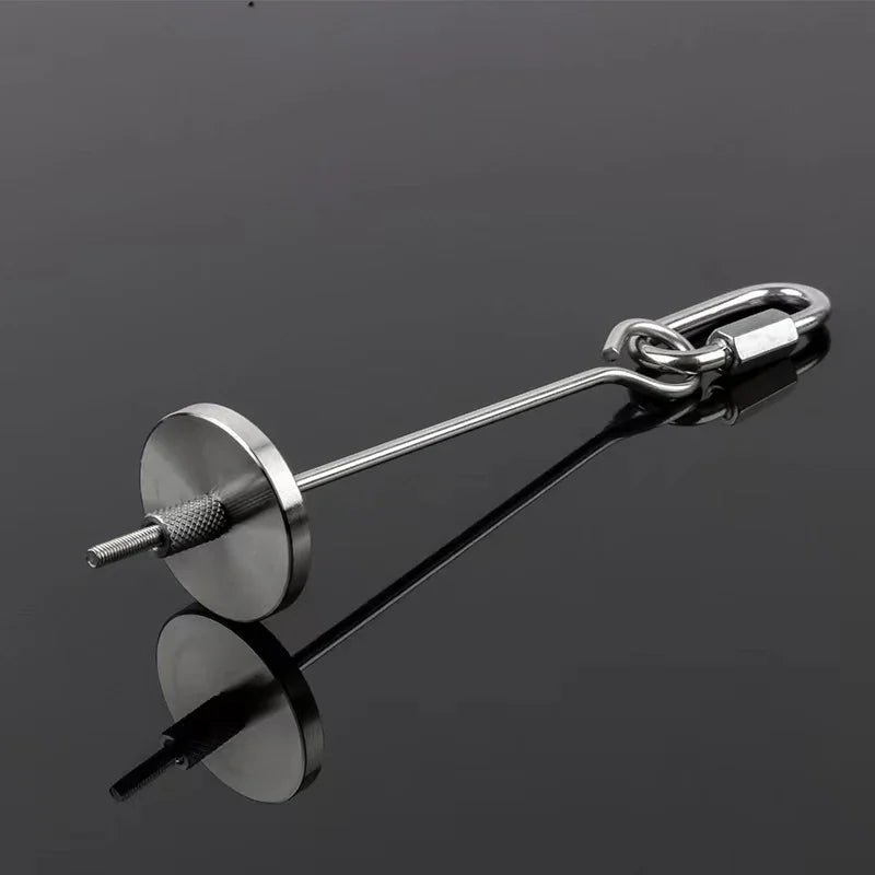 A stainless steel bird feeder fork with a metal chain and a round feeding disk.