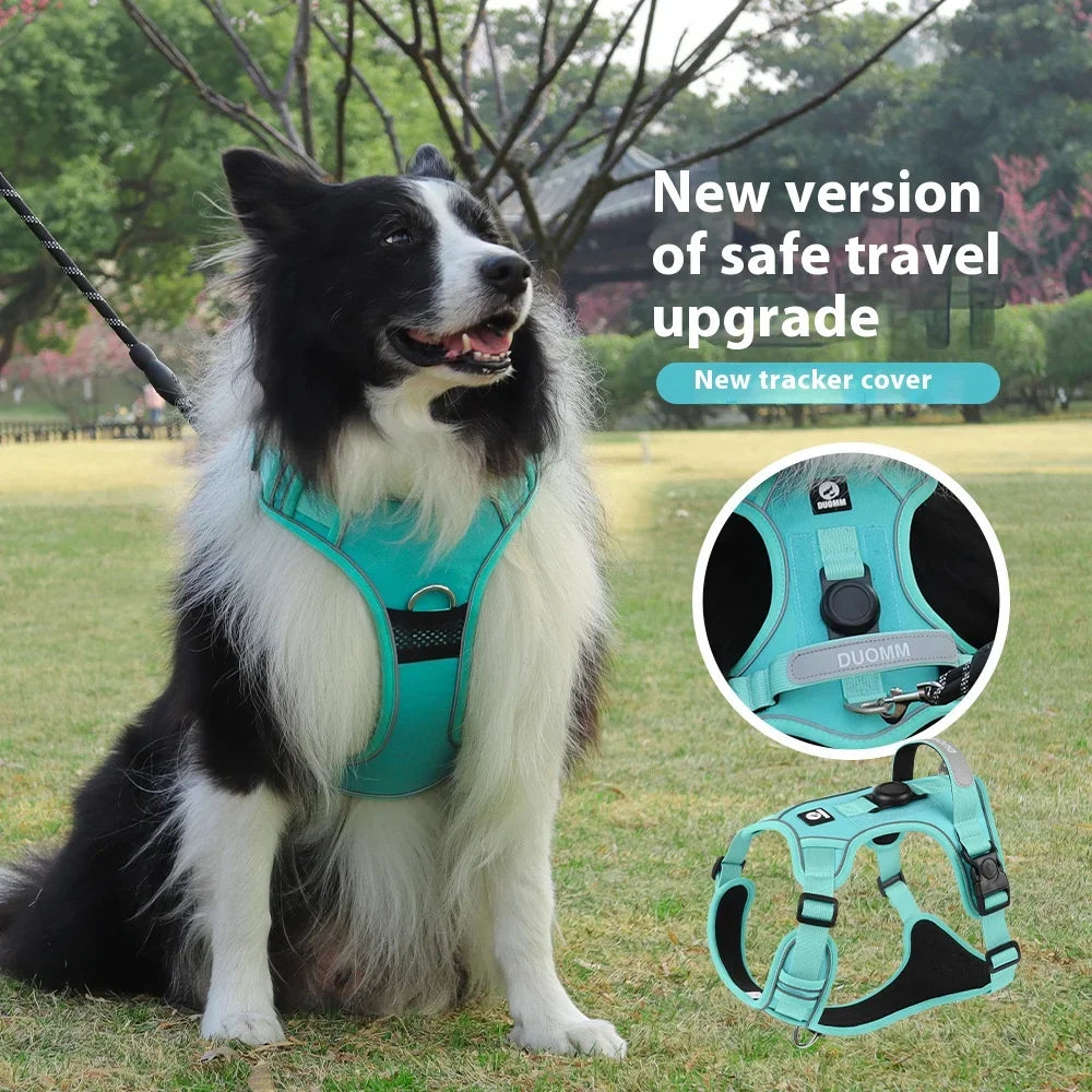 A black and white dog wearing a teal harness with a tracker cover, shown outdoors.