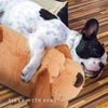 Comforting Plush Dog Toy with Simulated Heartbeat