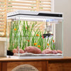 Aquarium Hideout Tube with Suction Cup for Betta and Small Fish