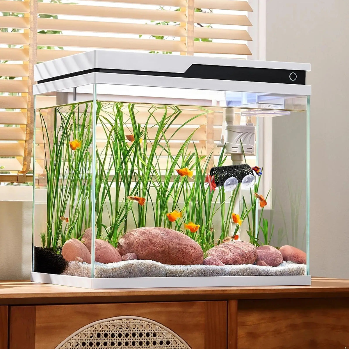 Aquarium Hideout Tube with Suction Cup for Betta and Small Fish