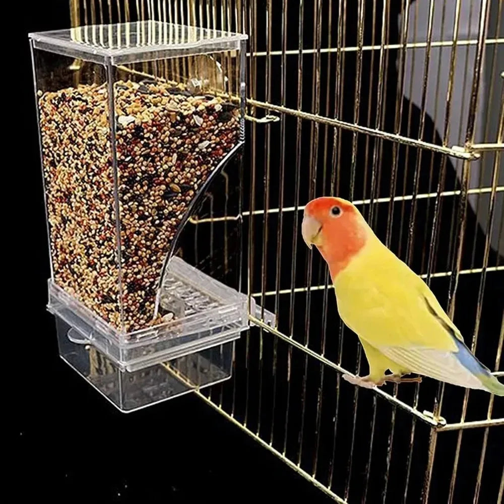 Stainless Steel Automatic Bird Feeder and Drinker for Parakeets