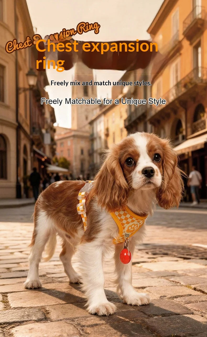 Checkered Nylon Dog Harness for Small Dogs with Leash