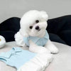 Un perro blanco esponjoso vistiendo un vestido polo de peluche delgado azul claro de verano.