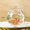 Bassin Transparent en PET pour Poisson Betta