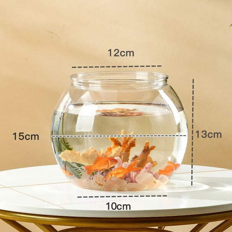 Bassin Transparent en PET pour Poisson Betta