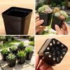 Mini Square Plastic Plant Pots with Drainage Holes for Seed Starting