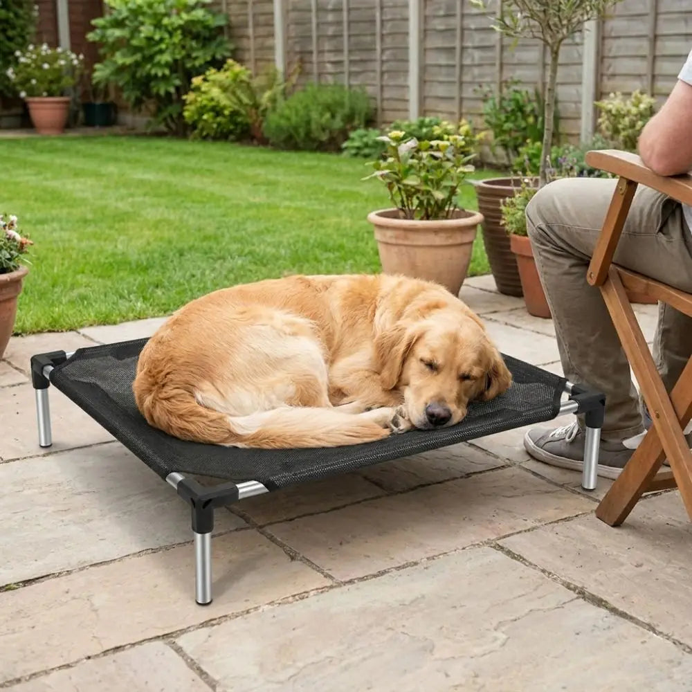 A golden Labrador dog is resting on a black elevated mesh pet bed outdoors on a patio.