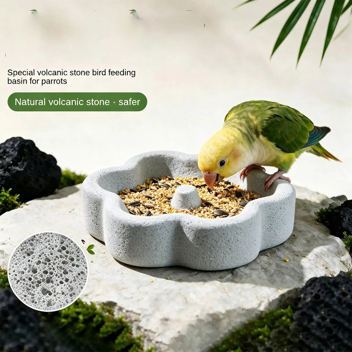 Natural Pumice Bird Feeding Bowl with Anti-Spill Design