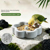 Natural Pumice Bird Feeding Bowl with Anti-Spill Design