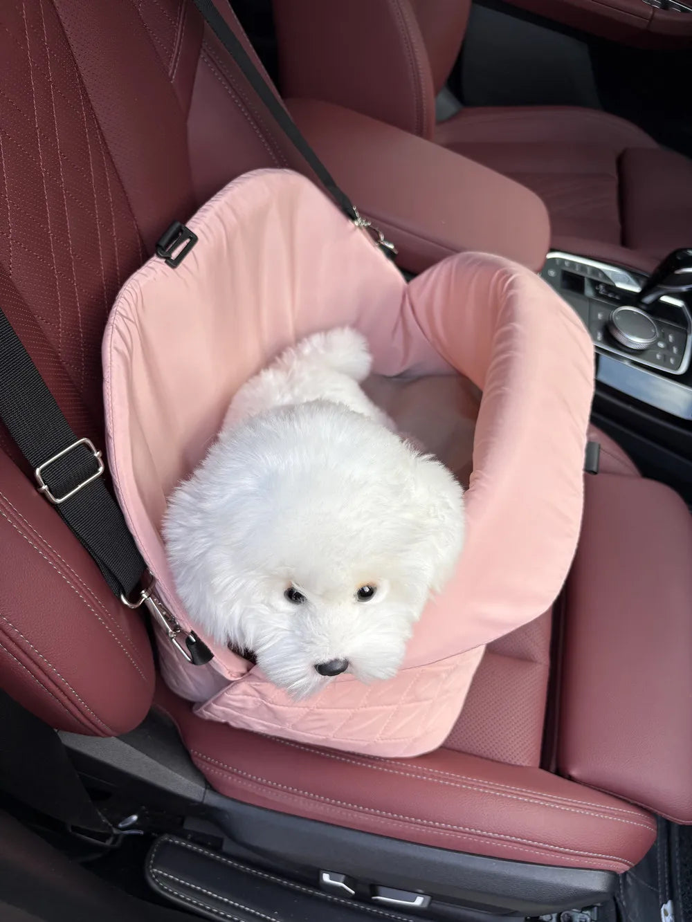A white fluffy dog is resting inside a pink portable soft-sided pet carrier placed in the seat of a car.