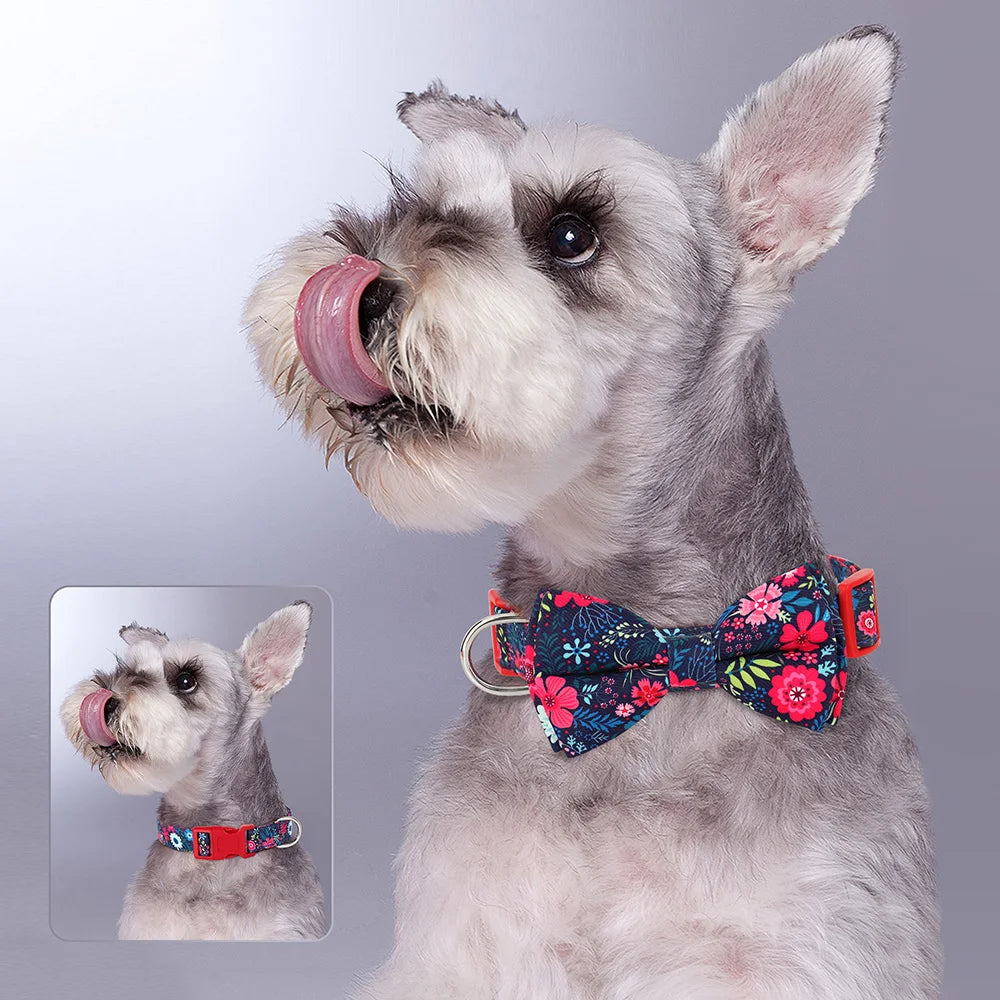A light gray dog with white fur is shown wearing a floral nylon collar with an adjustable bowknot.
