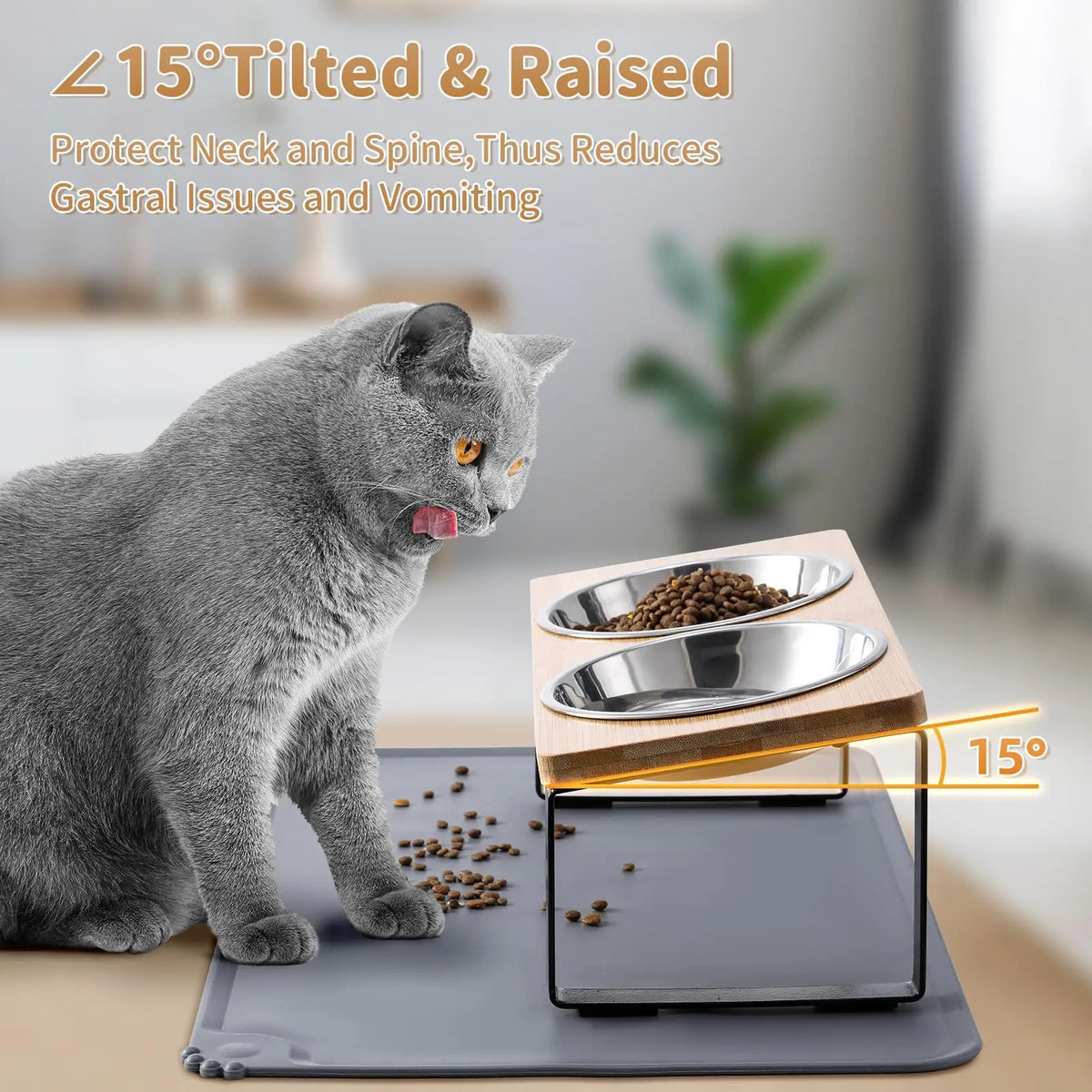 Elevated cat bowls with food mat featuring a 15 degree tilted stainless steel stand for two dishes