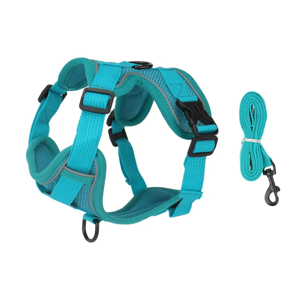 A teal reflective dog harness and leash set for small to medium dogs.