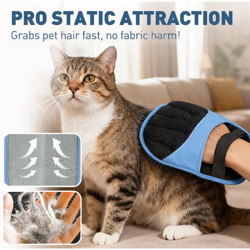 A cat is shown wearing a blue and black reusable glove designed for pet hair removal.
