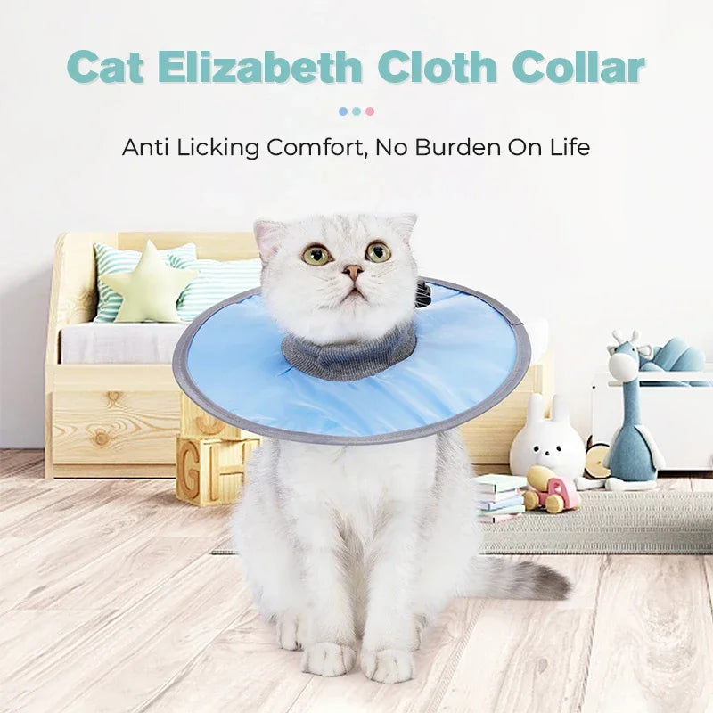 A fluffy white cat wearing a light blue Elizabethan cloth collar sits on the floor.