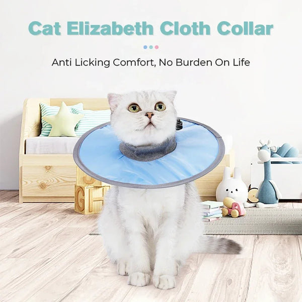 A fluffy white cat wearing a light blue Elizabethan cloth collar sits on the floor.