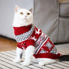 A white cat wearing a festive red and gray knit sweater with a snowflake pattern.