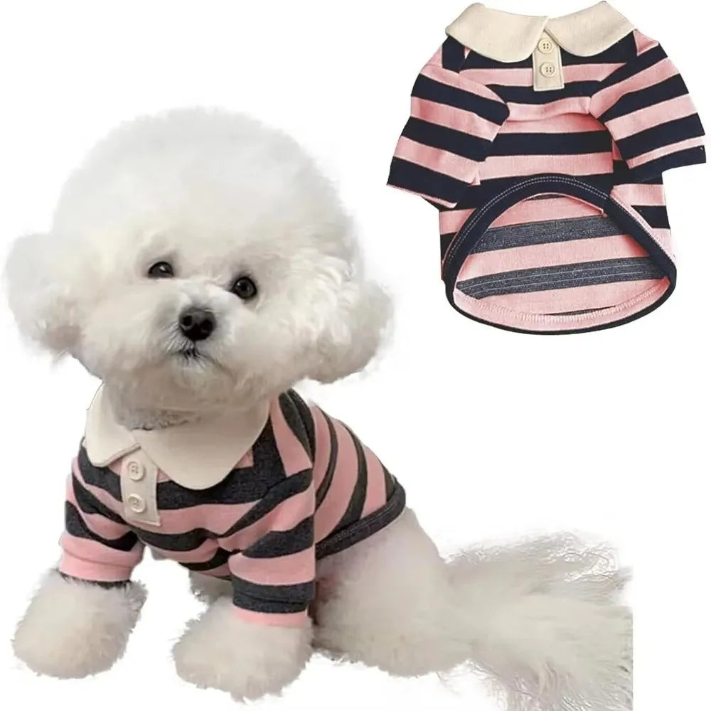 Ein kleiner weißer Hund trägt eine pink-schwarz gestreifte atmungsaktive Kühlweste für Hunde.