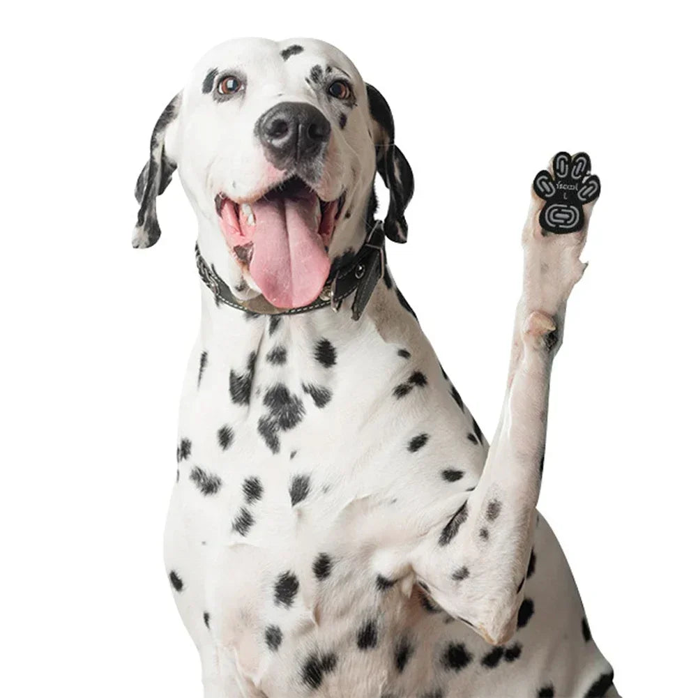Dog Paw Grips with Traction Pads for Senior Dogs on Slippery Floors