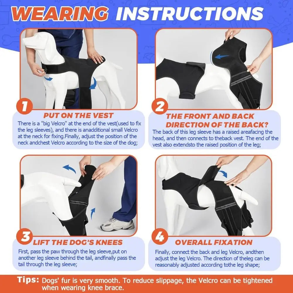 Instructions pour mettre une attelle de soutien articulaire réglable sur la jambe d'un chien.