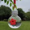 A clear glass bottle with a red flower attached hangs from a green leaf against a blurred outdoor background.
