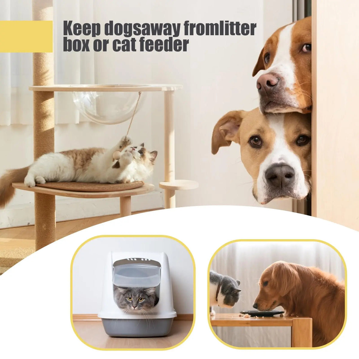 No-Drill Adjustable Cat Door Latch with Stabilizer