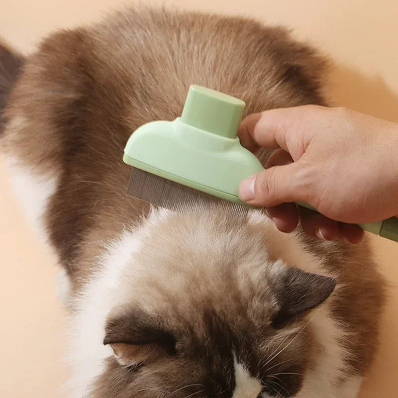 Peigne de toilettage pour éliminer les poils d'animaux