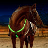 Nylon-LED-Halftergeschirr mit USB-Ladung