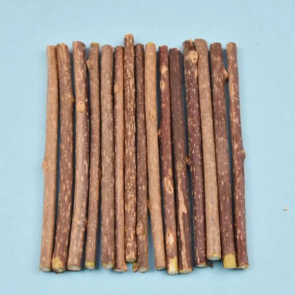 Bâtons à mâcher au Polygonum naturel pour chats
