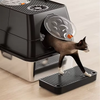 Cat Litter Box Ramp with Built-in Filter