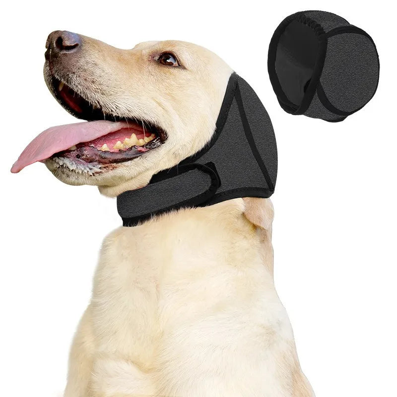 Ein helles Hunde trägt eine schwarze Ohrenschutz-Muff für Geräuschreduzierung und Schutz.
