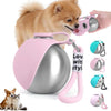 Portable 2-in-1 Dog Drinking Bottle with Collapsible Silicone Bowl